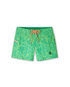 STIO Women's CFS Board Short