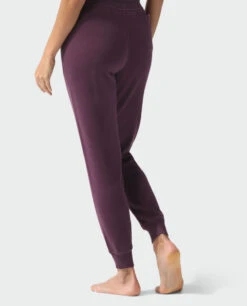 STIO Women's Whitebark French Terry Jogger 13 STIO Women's Whitebark French Terry Jogger -Stio Activewear 100207 621 4 Bottom 29addc49 ea9b 45b0 9f58 69987fc51c90