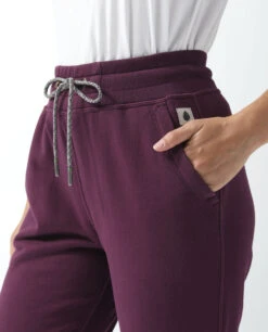 STIO Women's Whitebark French Terry Jogger 16 STIO Women's Whitebark French Terry Jogger -Stio Activewear 100207 621 5 d0a851eb 1b18 40ac 9b4a 8996142879e3