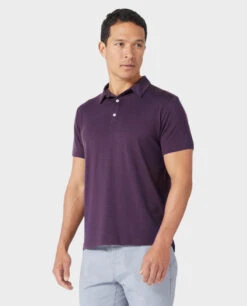 STIO Men's Alpin Lightweight Merino Polo SS -Stio Activewear 200241 601 3 Top