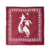 Stio® Rodeo Bandana